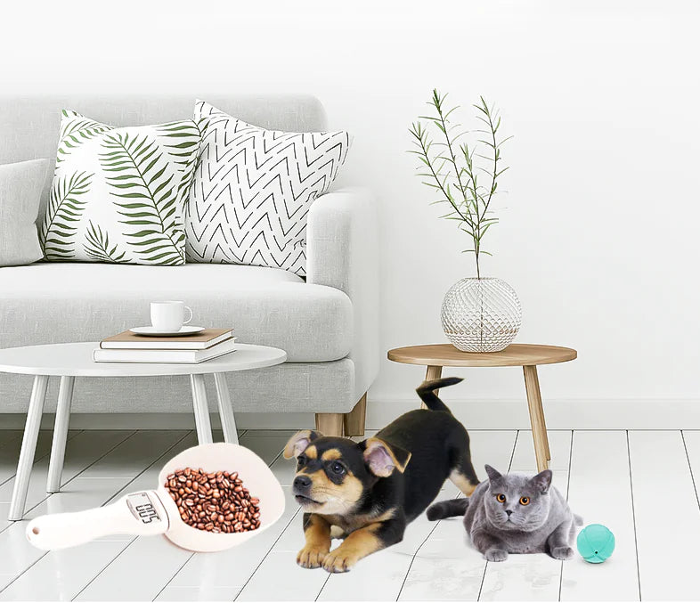 Digital Pet Food Measuring Spoon with Built-In Scale